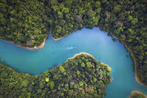 COP26: Your complete guide to the conference, plus how you can get involved