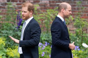 Prince William and Prince Harry reportedly decided against rival speeches at Princess Diana’s statue unveiling