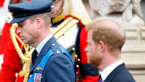 Grief is bringing Prince William and Prince Harry together, royal expert claims